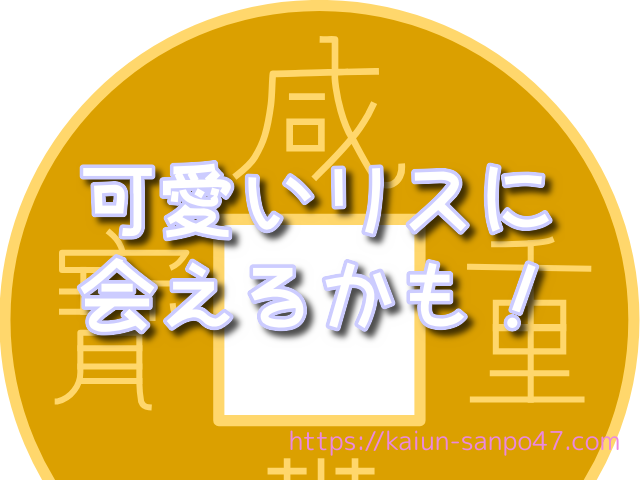 北海道　金運神社